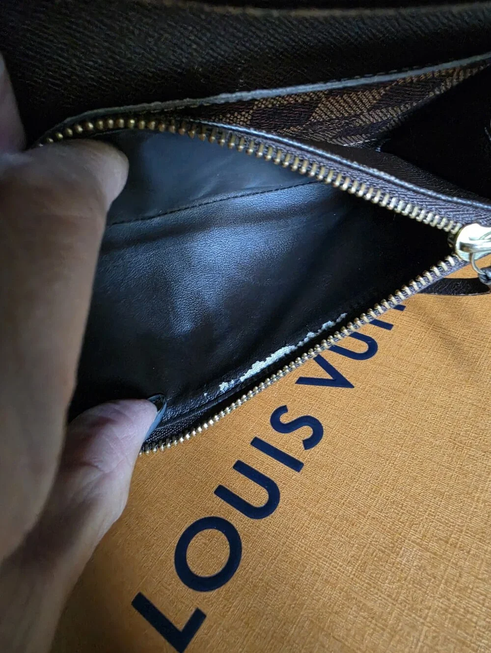 Louis Vuitton stylish louis